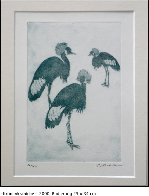 - Kronenkraniche -  2000  Radierung 25 x 34 cm